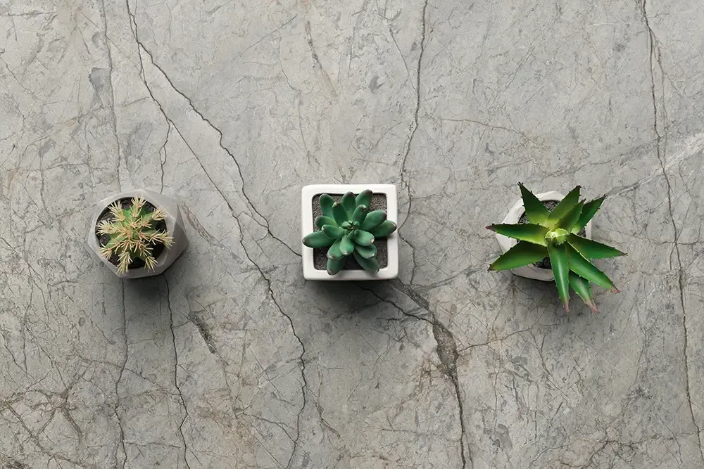 Ambiente real con porcelánico Arklam Mystic Grey 6 mm — proyecto de interiorismo